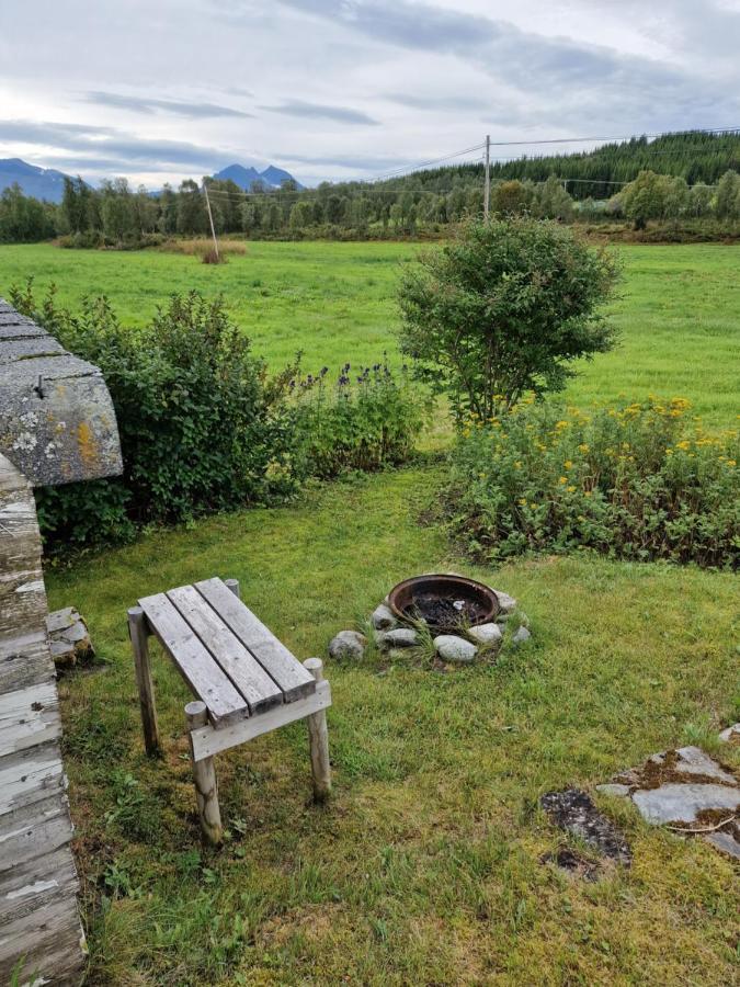 Warm And Cozy Cottage, Great Location Kvaloya Exteriör bild