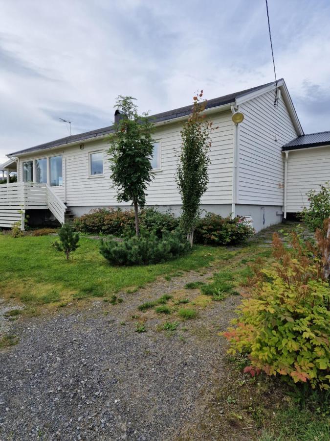 Warm And Cozy Cottage, Great Location Kvaloya Exteriör bild