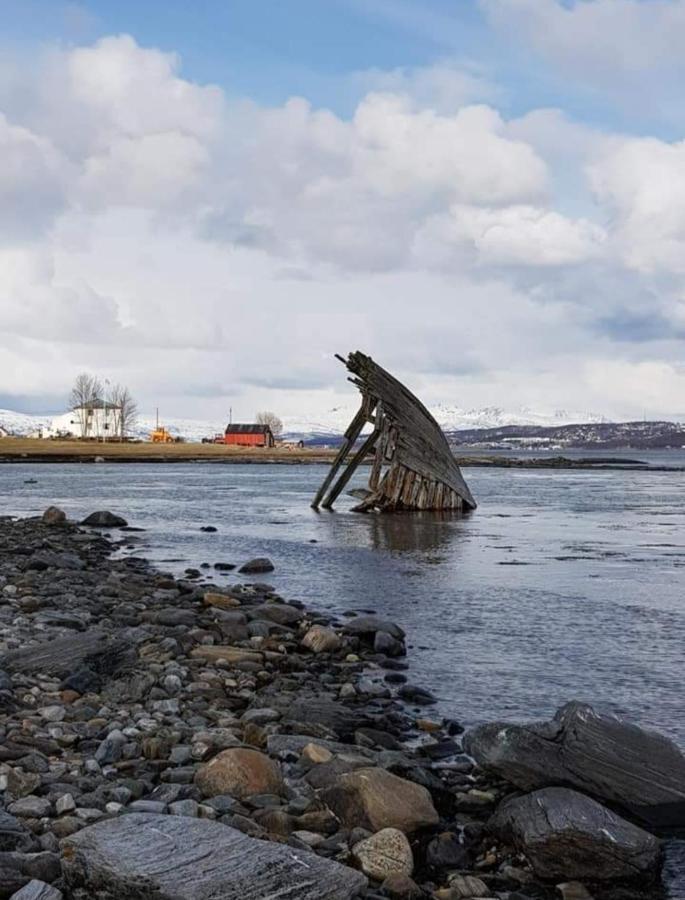 Warm And Cozy Cottage, Great Location Kvaloya Exteriör bild