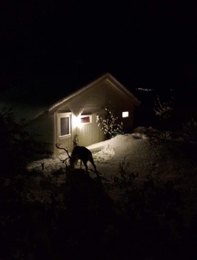 Warm And Cozy Cottage, Great Location Kvaloya Exteriör bild