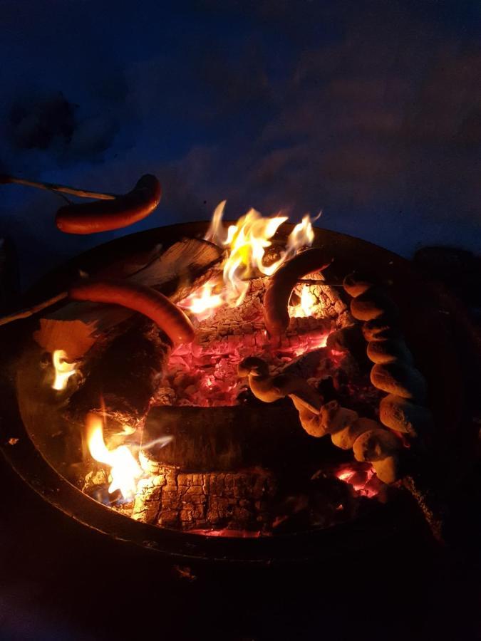 Warm And Cozy Cottage, Great Location Kvaloya Exteriör bild