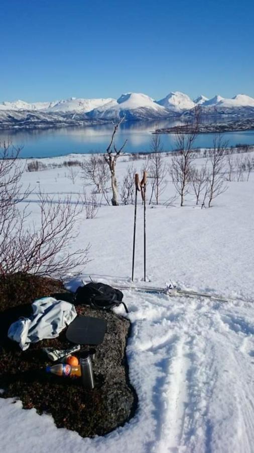 Warm And Cozy Cottage, Great Location Kvaloya Exteriör bild